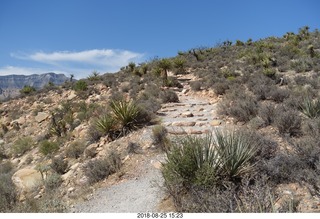 Las Vegas - Red Rock Canyon - thirteen mile drive - Pine Creek Canyon hike