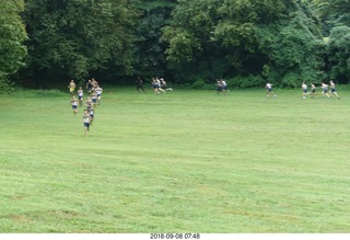 Curtis Arboretum - Cheltenham XC alumni race