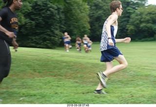 Curtis Arboretum - Cheltenham XC alumni race