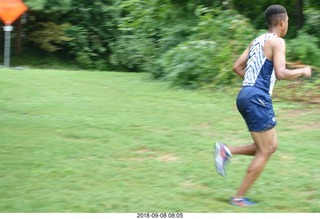 Curtis Arboretum - Cheltenham XC alumni race