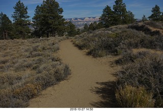 Bryce Canyon - trail