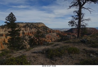 Bryce Canyon - hoodoos - vista view