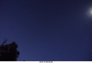 Cheltenham Cross Country CHS-XC - Curtis Arboretum - start