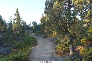 Bryce Canyon - path