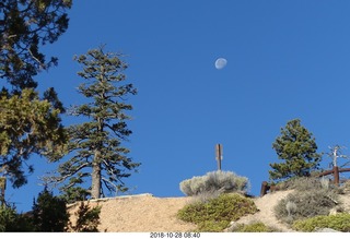 full moon