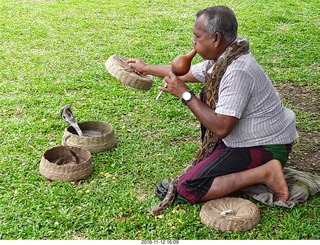 David Marcus picture of a snake charmer