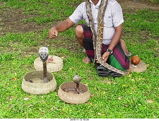 David Marcus picture of a snake charmer