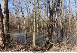 Pennypack Creek run
