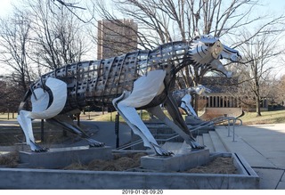 Princeton University - new stadium