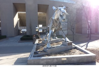 Princeton University - skeleton tiger
