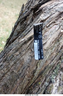 sony camera label