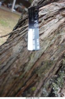 sony camera label