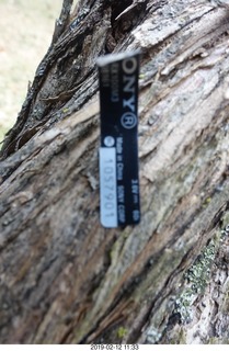 sony camera label