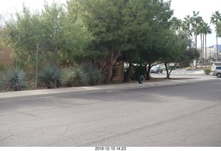 dead tire on the sidewalk