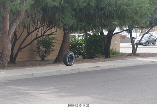 dead tire on the sidewalk