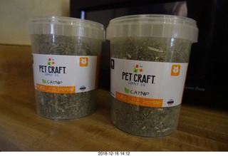 catnip
