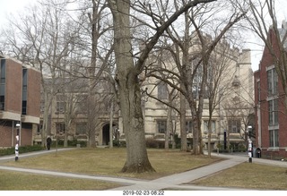 Princeton Alumni Day