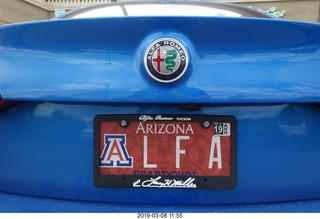 A L F A  Alfa Romeo cool license plate