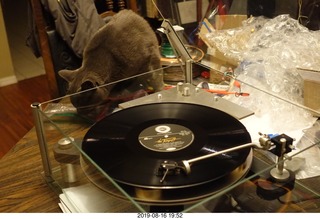 weighing the Vestigal tonearm