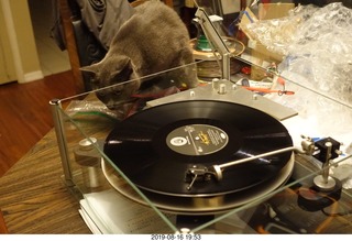 108 a0g. Transcriptor Skeleton turntable with Vestigal tonearm