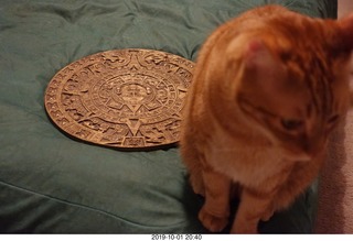 668 a0j. my cat Max and my bronze Aztec calendar