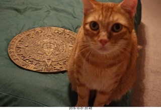 669 a0j. my cat Max and my bronze Aztec calendar