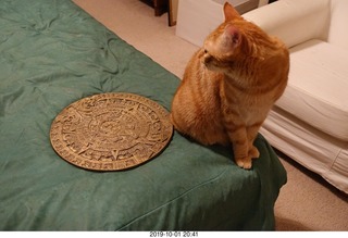 671 a0j. my cat Max and my bronze Aztec calendar