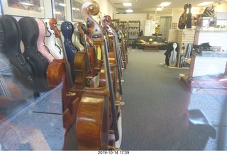 violin store