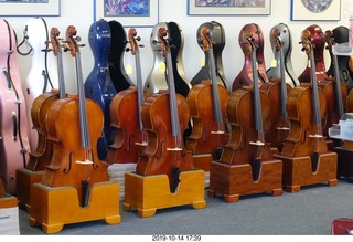 violin store