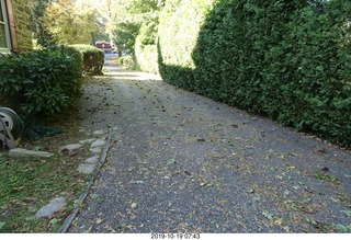 Mesa Arts Center - Experience Hendrix - guitar pick - SPL meter - loud