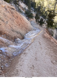 Bryce Canyon - ice