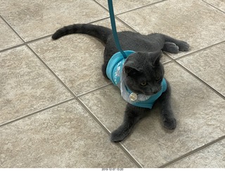 Kierland Animal Clinic - Krista Gibson - open house