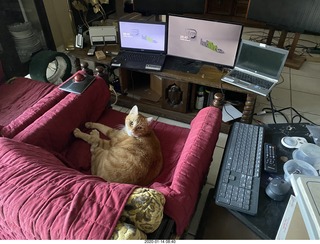 Max in my hifi/computer throne chair