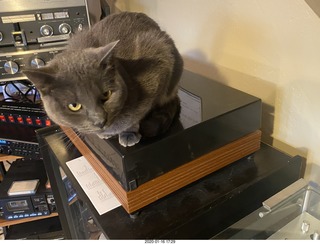 1 a0m. my cat Jane on my Linn turntable