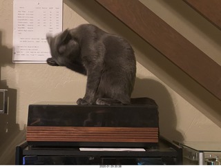 Quad ESL repair, replacing EHT power-supply board