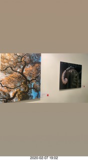 Lisa Marcelle Nowitz photo gallery show