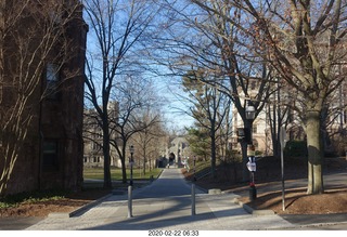 Princeton University Alumni Day