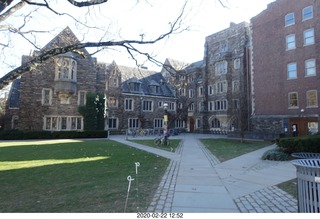 Princeton University Alumni Day