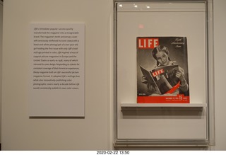 Princeton University Alumni Day - Art Museum - LIFE Magazine exhibit