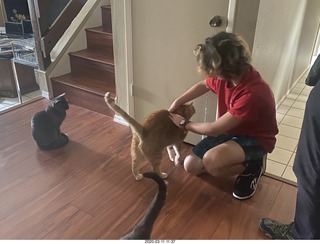 Jake Gerdy and my three cats