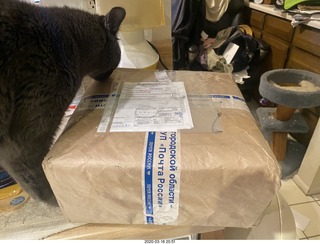 my tapes on the shelf