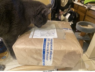 15ips half-track tapes in the box