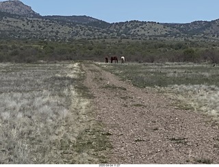 260 a0q. Double Circle airstrip runway