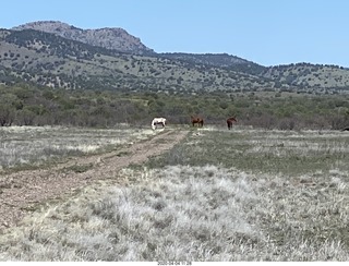 Double Circle airstrip runway