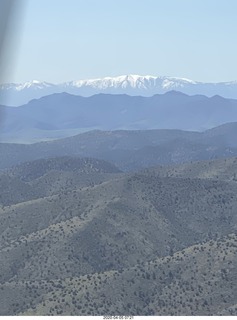my three-cat fleshpile on my desk