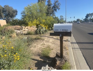 Seligman Roadkill Cafe