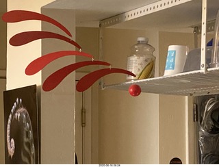 Gila monster on Pinnacle Peak trail