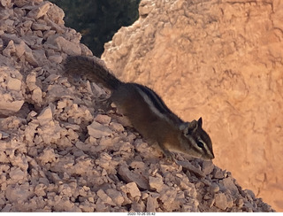 Bryce Canyon