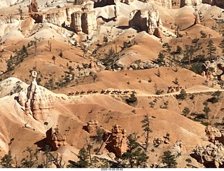 Bryce Canyon - chipmonk