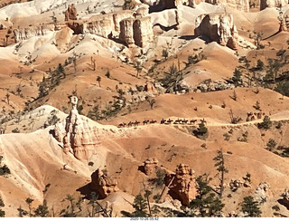 Bryce Canyon - chipmonk